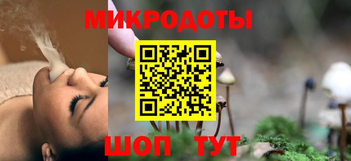 Галлюциногенные грибы Psilocybine cubensis  Вход с VPN  Валуйки 